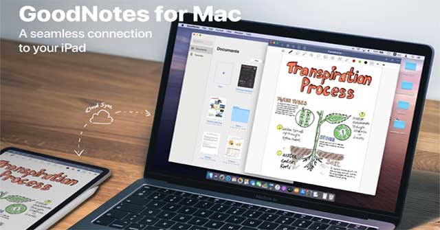 Hướng dẫn tải và cài đặt Goodnotes 5 Cho MacOS Mới Nhất