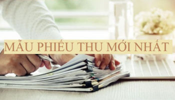 Mẫu Phiếu Thu Chuyên Nghiệp