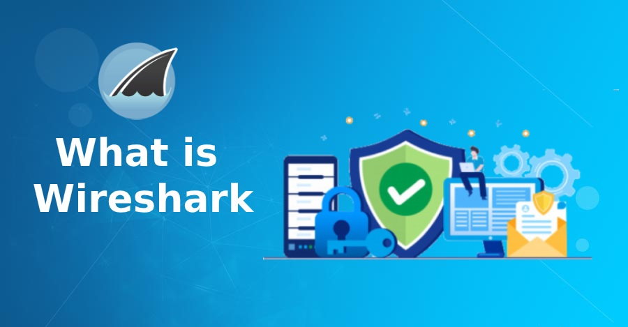 Cách tải Wireshark- Phần mềm phân tích xác định các vấn đề network